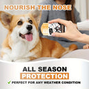 PawLixir™ – Baume cicatrisant naturel pour chiens 