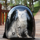 Breathable Pet Carrier Backpack – Safe Travel for Cats
